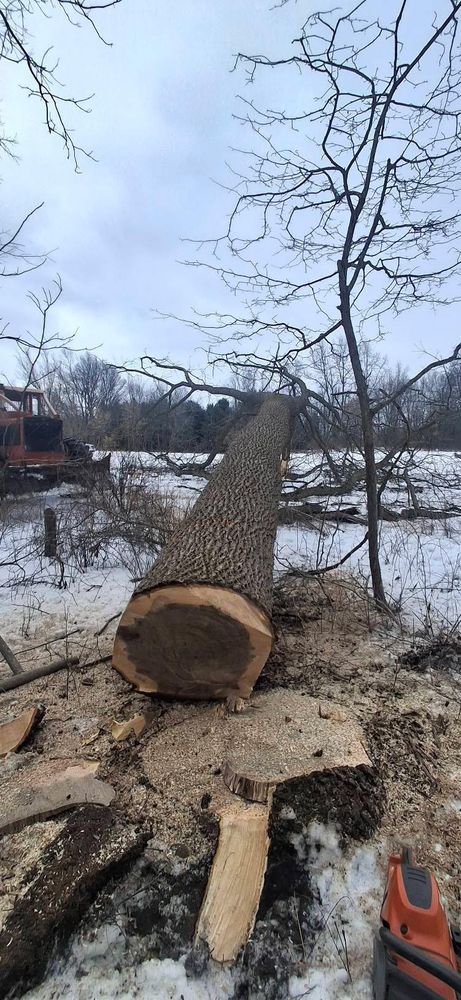 All Photos for God's Country Timber Management in Hillsdale, MI