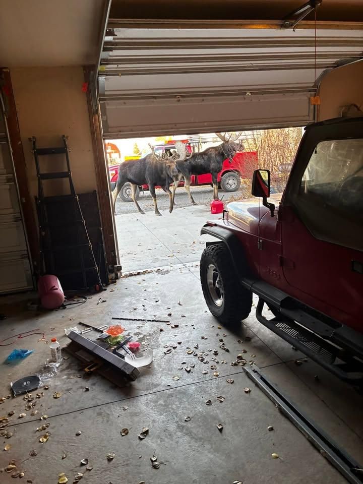 All Photos for Salmon River Garage Door in Challis, ID