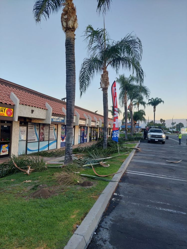 Hardscaping for Best Lawncare in Colton, CA