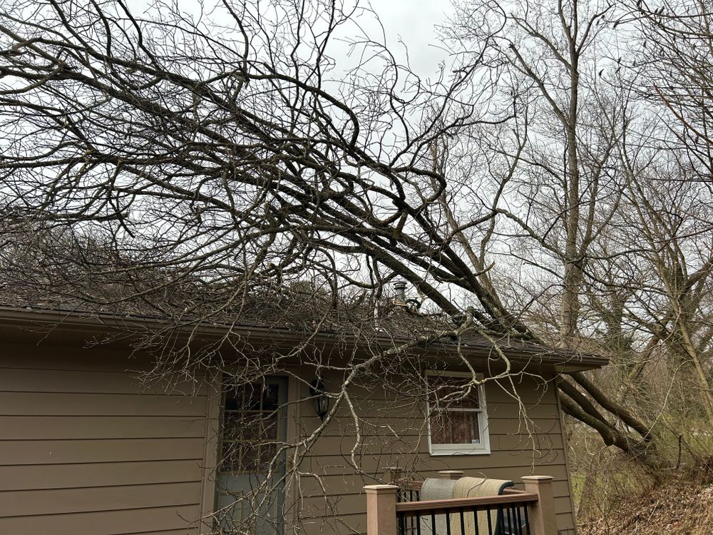 Emergency services  for JJ Tree Service in Gibsonia, PA