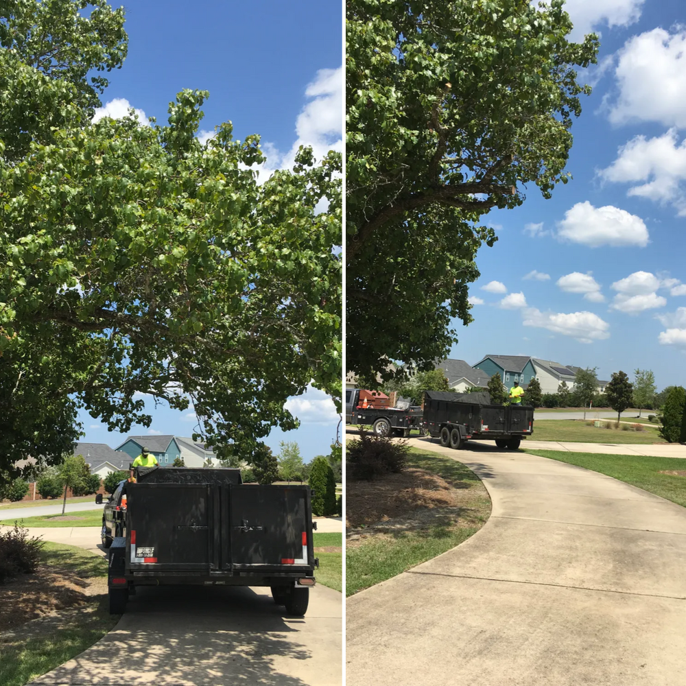 All Photos for Tucker's Tree Service and Stump Grinding in Lugoff, SC