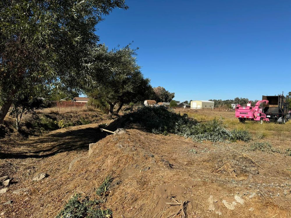 Property Clean Up for The Tree Fairy in Temecula, CA