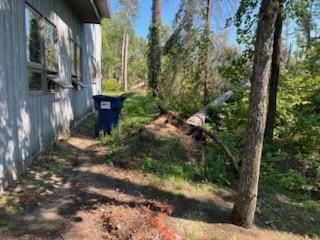 All Photos for Dan's Tree Service LLC in Bemidji, MN