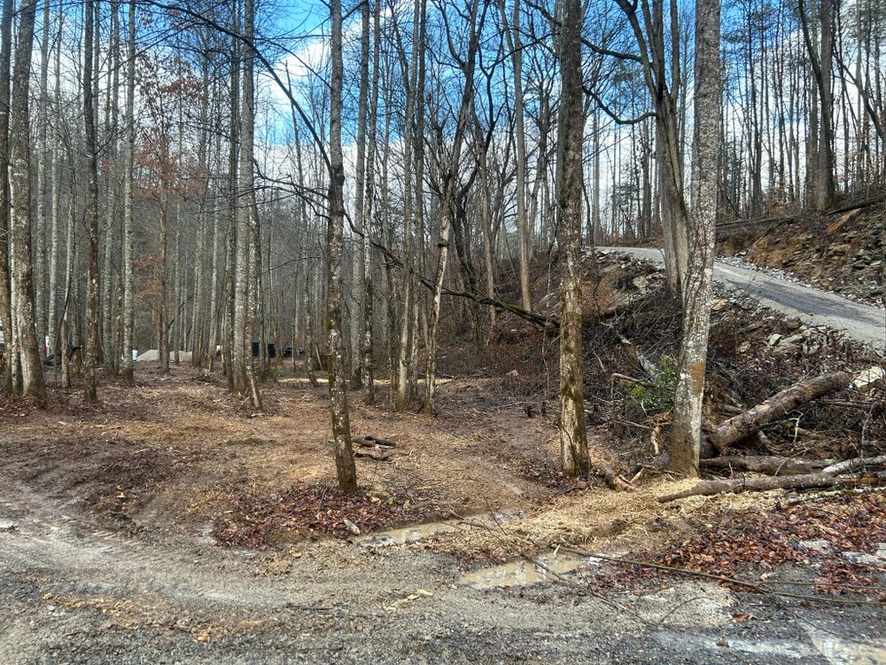 All Photos for Z's Land Management & Forestry Mulching in Smithville, TN