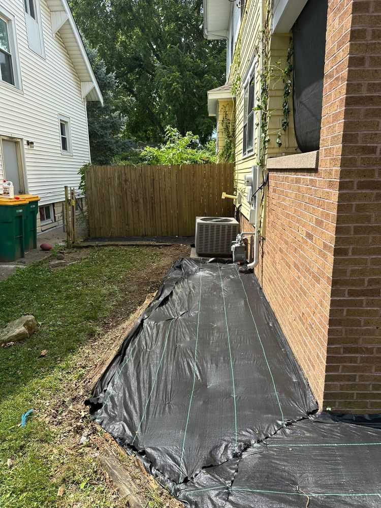 Tree Removal for Greenlee & Family Landscaping Services in Peoria, IL