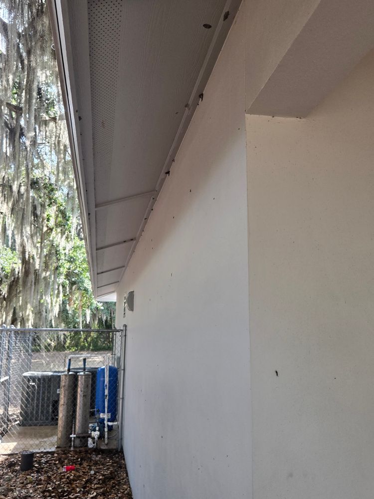 All Photos for Above the Lawn Cuts and Pressure Washing in Sebring, FL