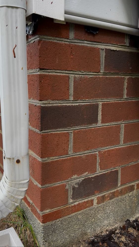 All Photos for LeafTide Solutions in Richmond, VA