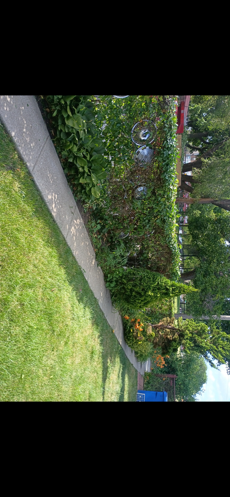 All Photos for Superior Lawn Care & Snow Removal LLC  in Chicago, IL