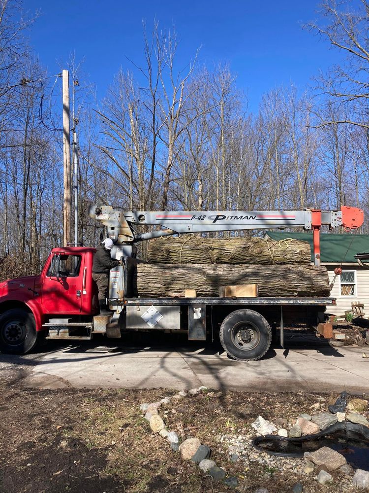 All Photos for Summit Tree Care LLC in Fort Wayne, IN