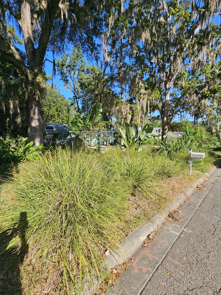 All Photos for Deeper Roots Landscape in High Springs, FL