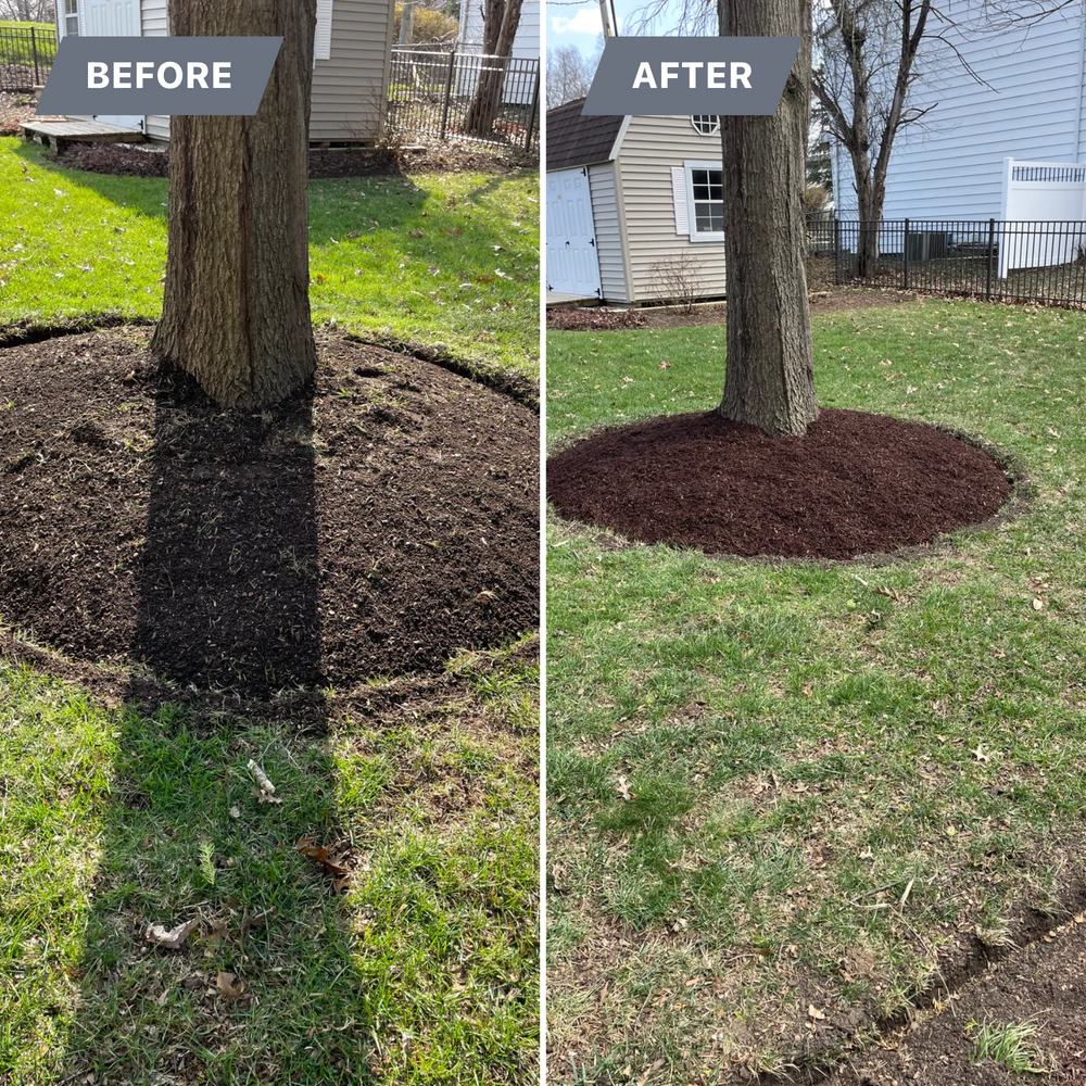All Photos for MDR Landscaping in Urbana, IL