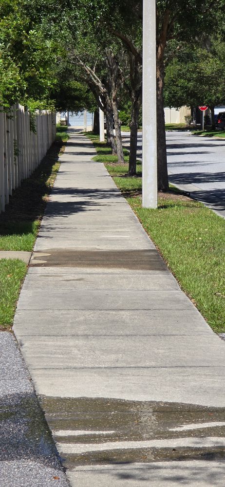 All Photos for Blue Stream Roof Cleaning & Pressure Washing in Tampa, FL