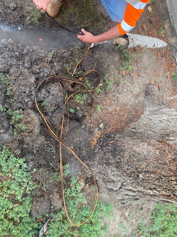 All Photos for Raton Property Maintenance in Raton, NM