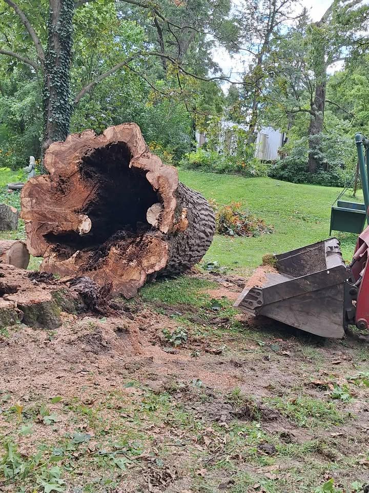 All Photos for Highborn Tree Service in Wheatfield, IN