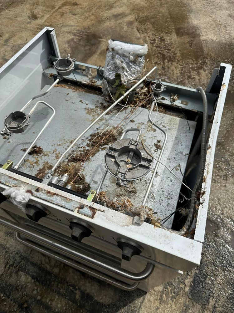 All Photos for X-Stream Pressure Washing and Roof Cleaning in Sandersville, GA