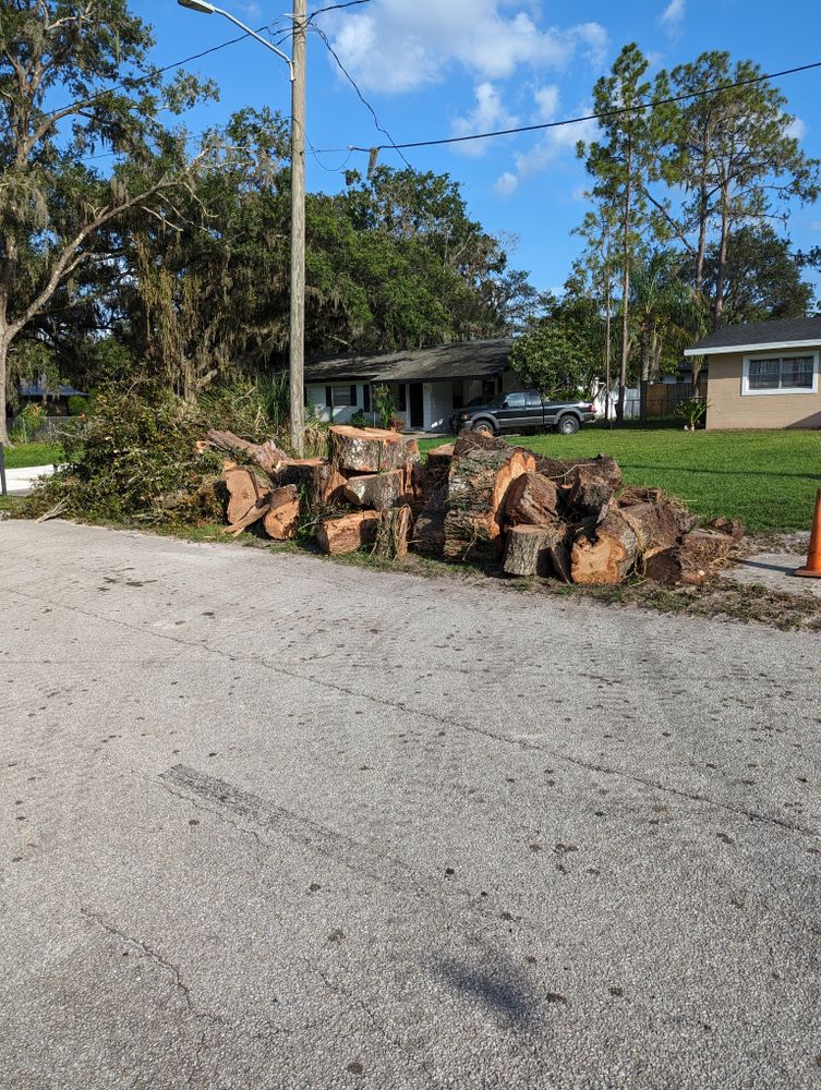 All Photos for Regal Tree Service and Stump Grinding in Wauchula, FL