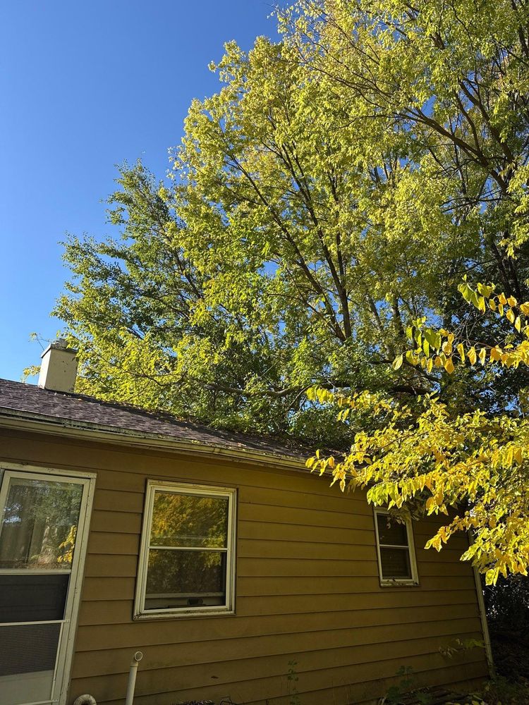 All Photos for Fransen's Tree Service  in Freeport, IL