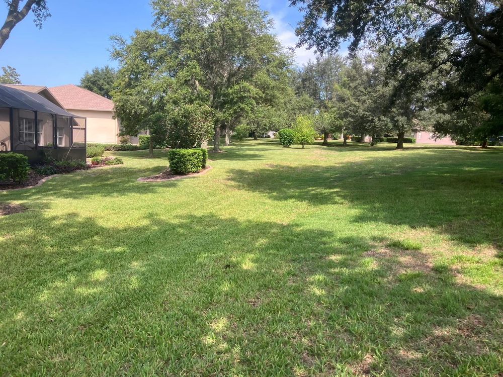 All Photos for Genesis Landscape Services in Spring Hill, FL