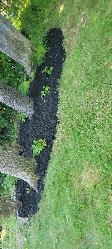 All Photos for Stafford.Works in Brownsburg, IN