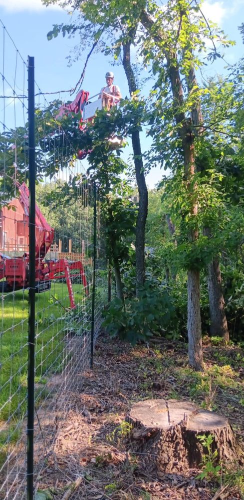 All Photos for Lawn Ranger Yard And Tree Service LLC in Ottumwa, IA