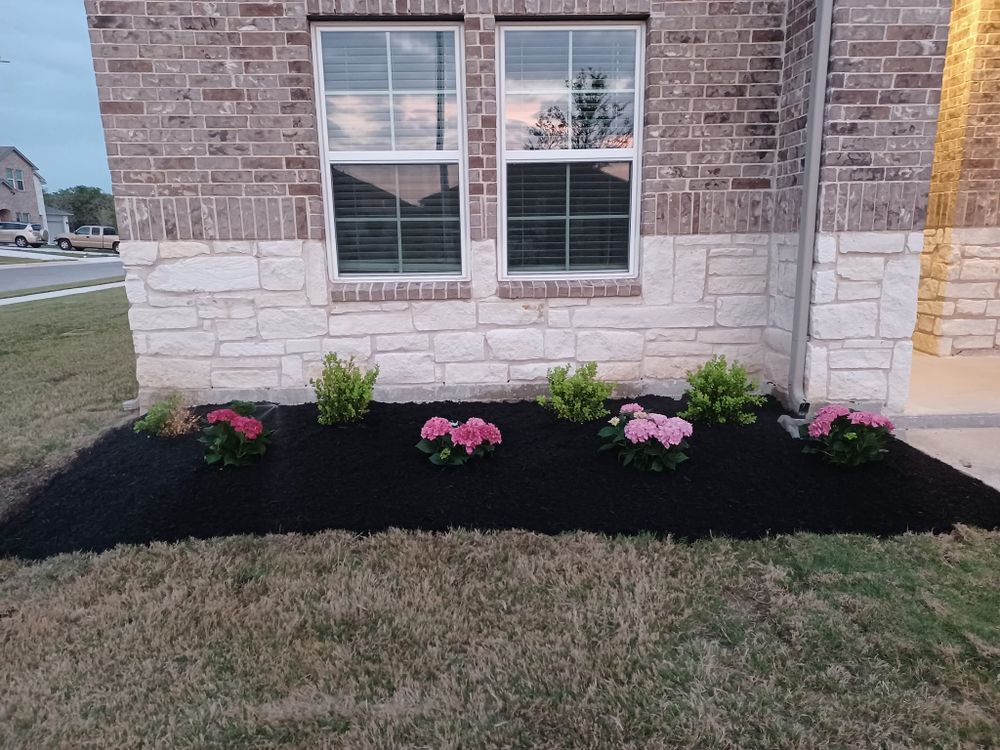 Landscaping for Pina Landscaping in Austin, TX