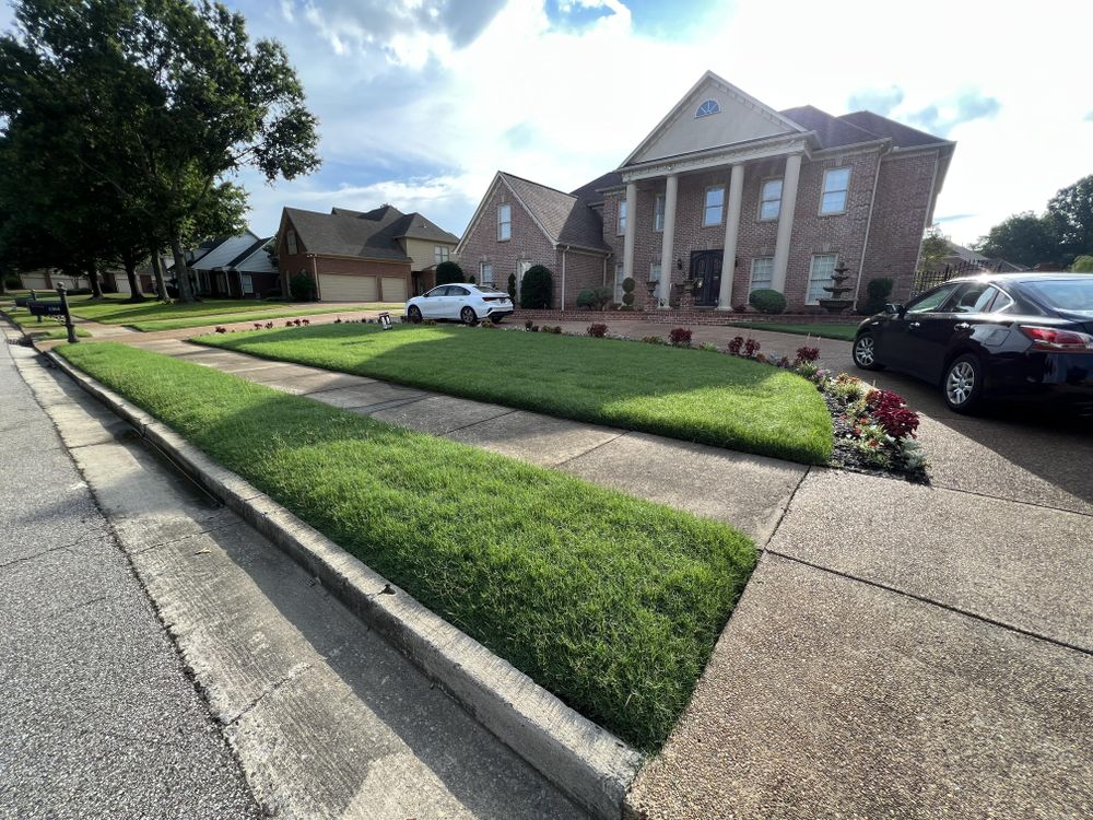 All Photos for Sanchez Z. Landscaping in Memphis, TN