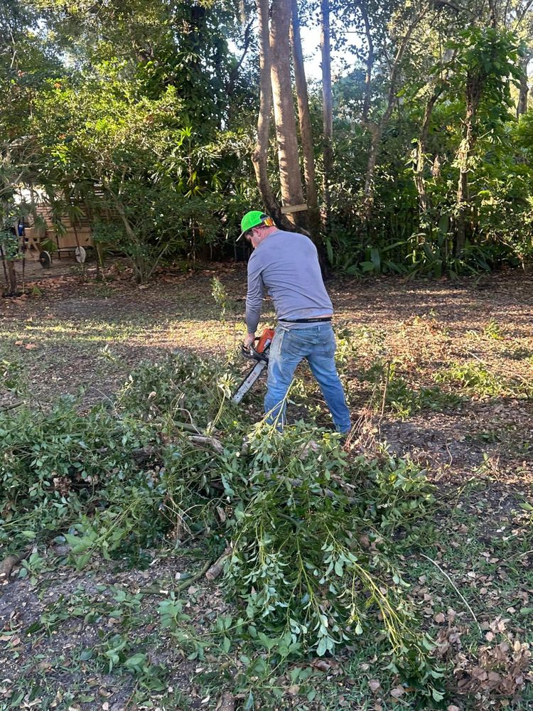 Tree Removal for Narrow Path Tree Service in Deland, FL