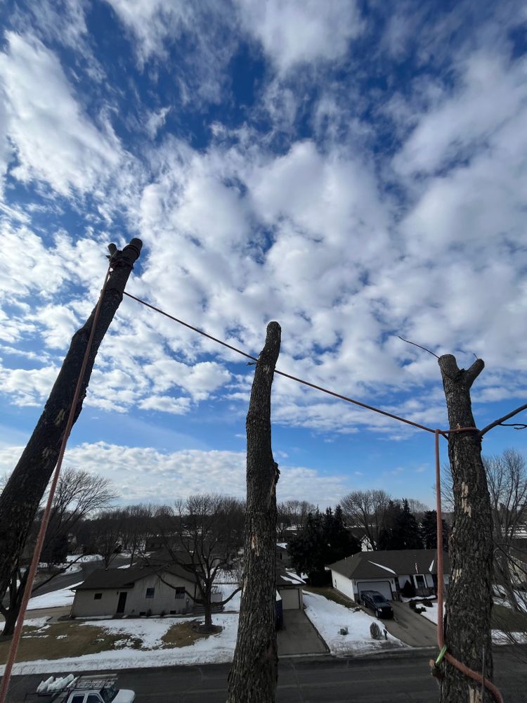 All Photos for K and Z Tree Care in Isanti County, MN