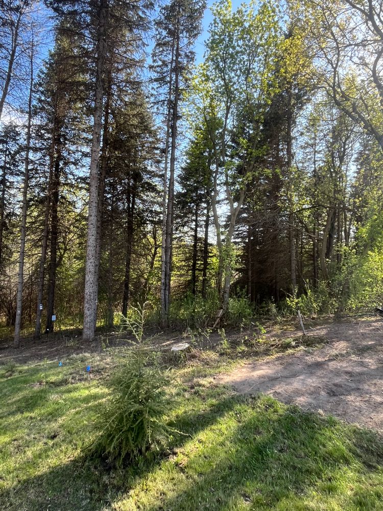 All Photos for K and Z Tree Care in Andover, MN