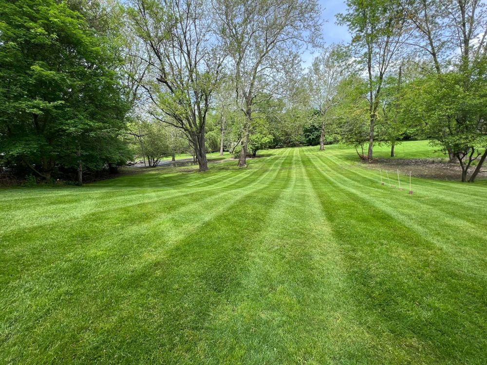 All Photos for Hammond Landscape in Okemos, MI