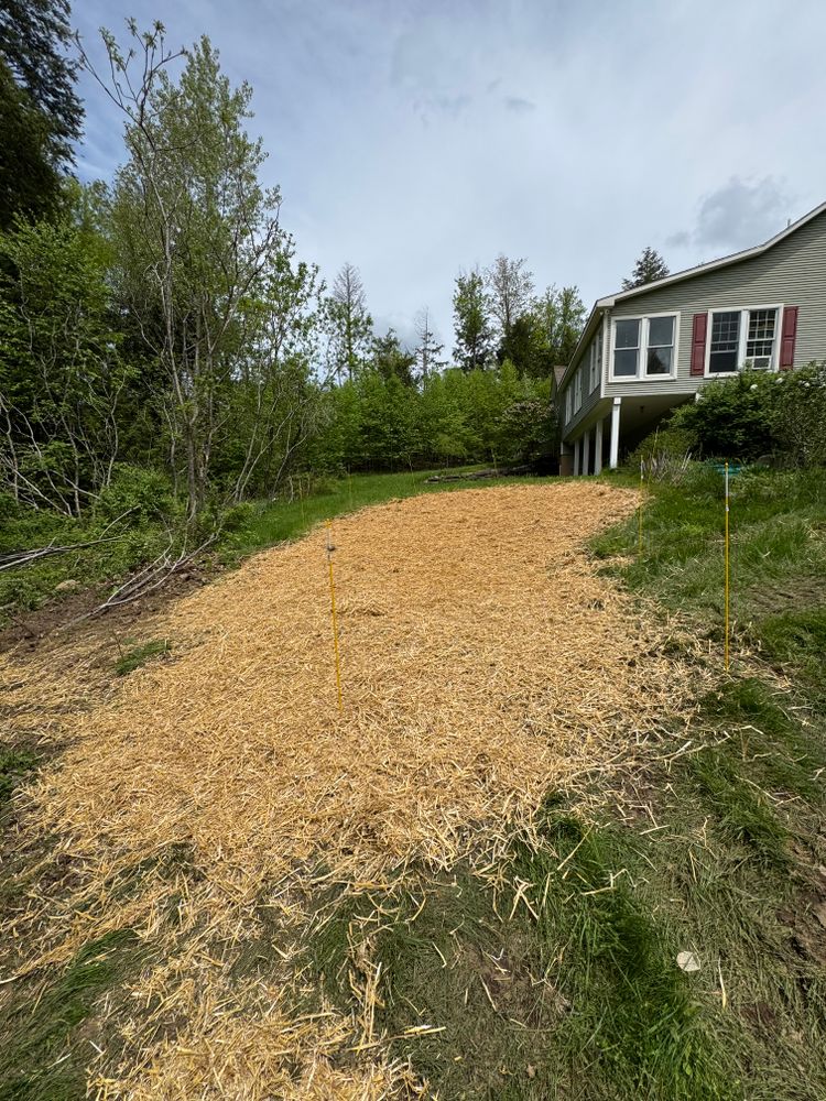 Excavation for Jack Of All Blades in Windsor County, VT