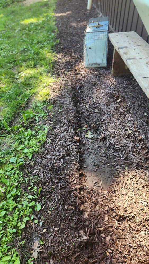 All Photos for Bredekamp Seamless Gutters in Jackson County, IA