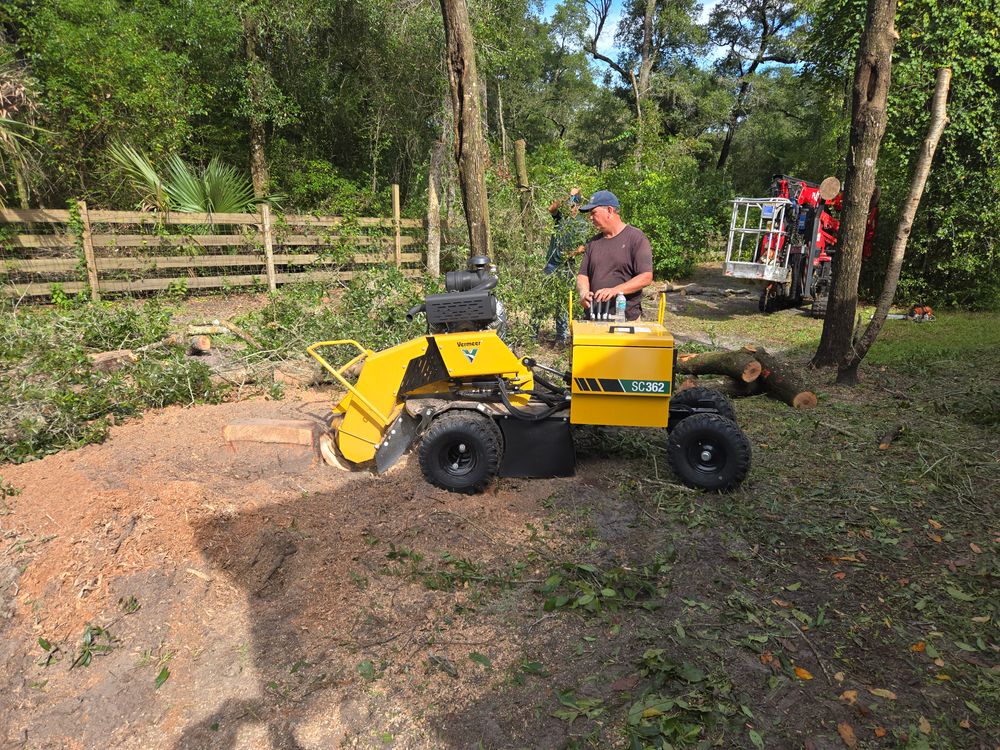 All Photos for Near Me Tree Service, Inc. in DeLand, FL