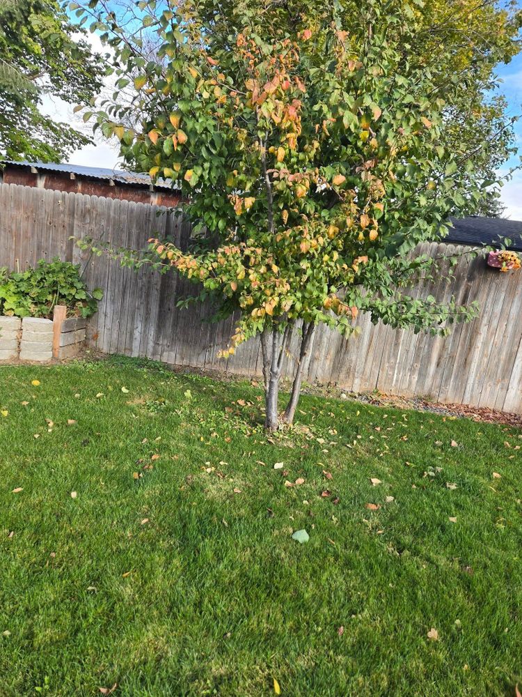 All Photos for All American Landscaping and Lawncare in Nampa, ID