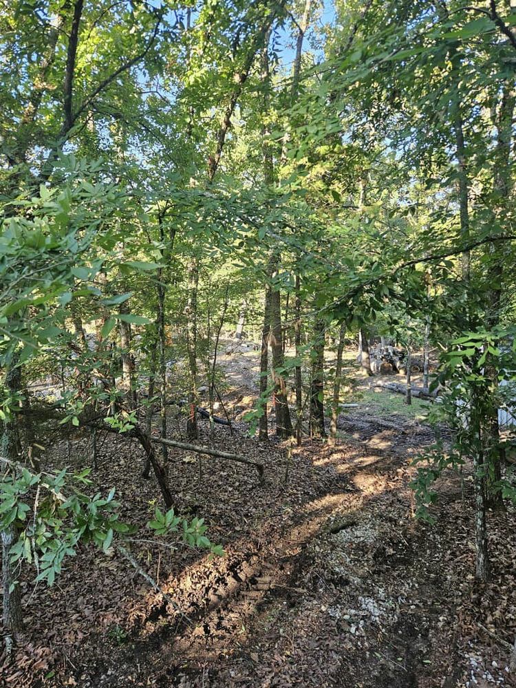 Our Land Clearing service is essential for homeowners looking to clear their property of trees, vegetation, and debris to make way for new construction or landscaping projects. for H n H Tree Service in Taneyville, MO