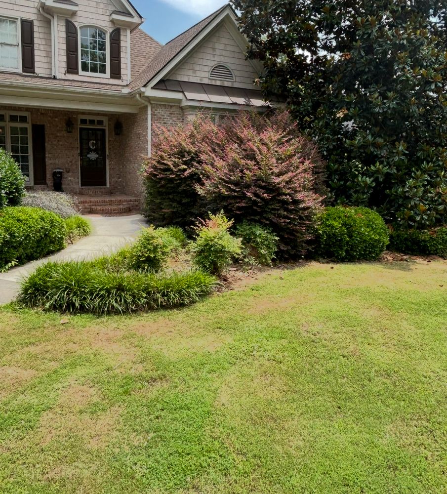 All Photos for WD Lawn Services in Loganville, GA