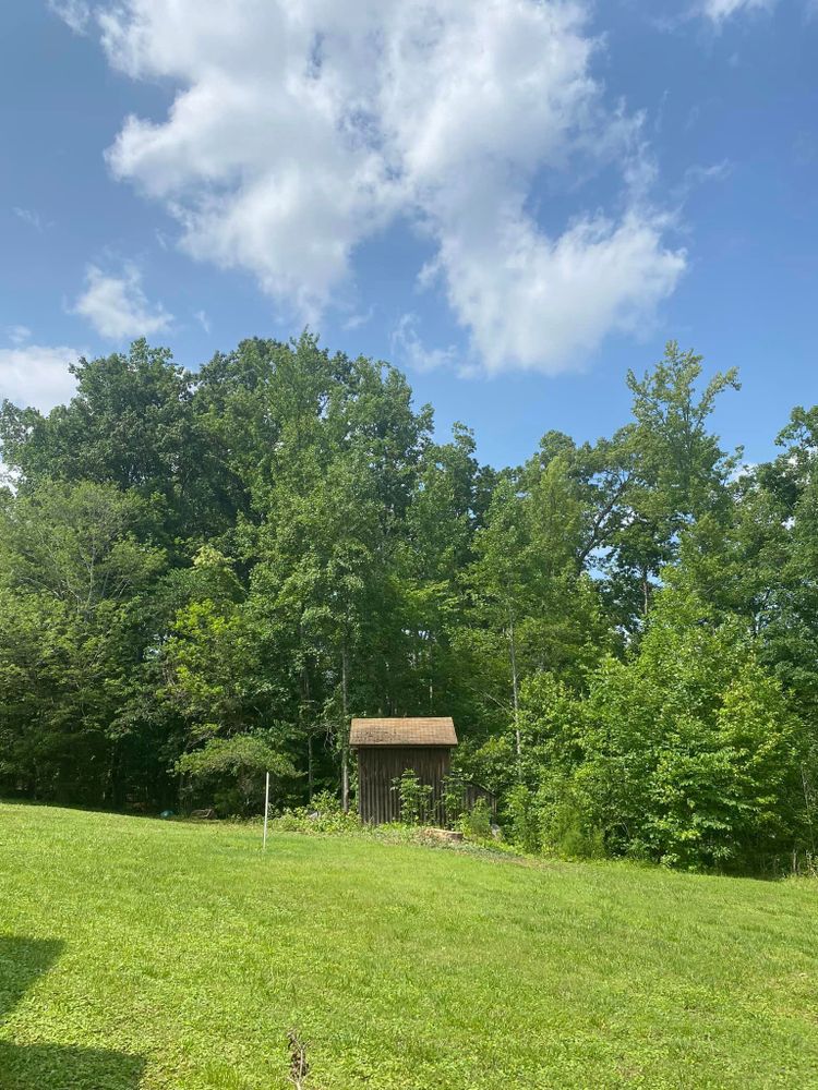 Tree Removal for Ascending Tree Service LLC in Kenbridge, VA