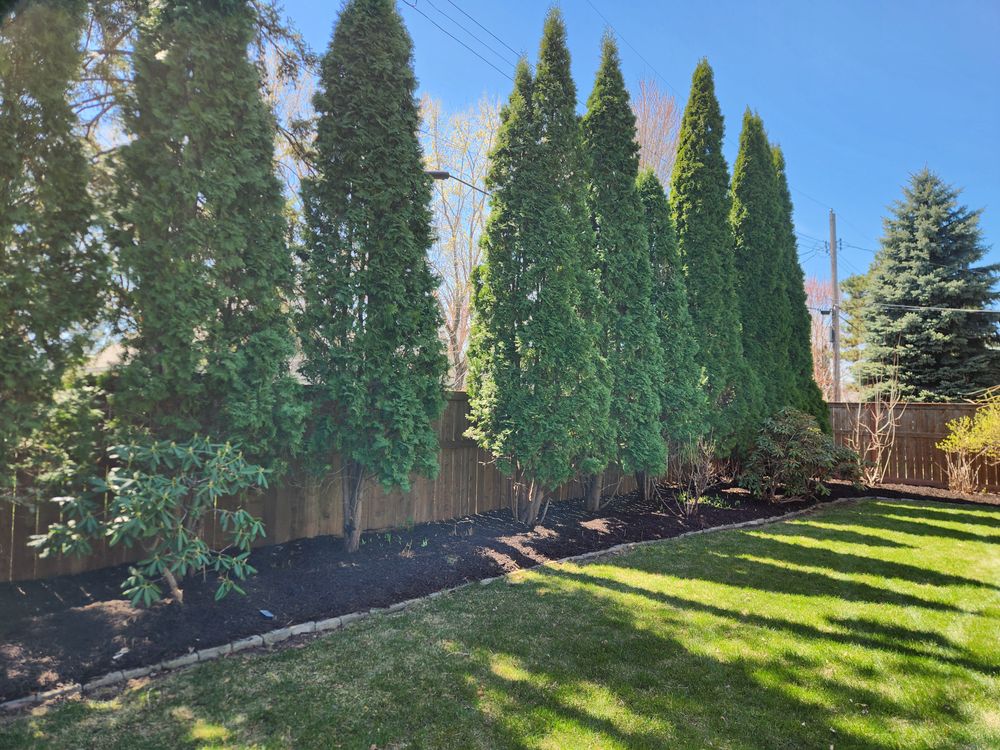 All Photos for K & I Lawn Care Service  in Eden Prarie, MN