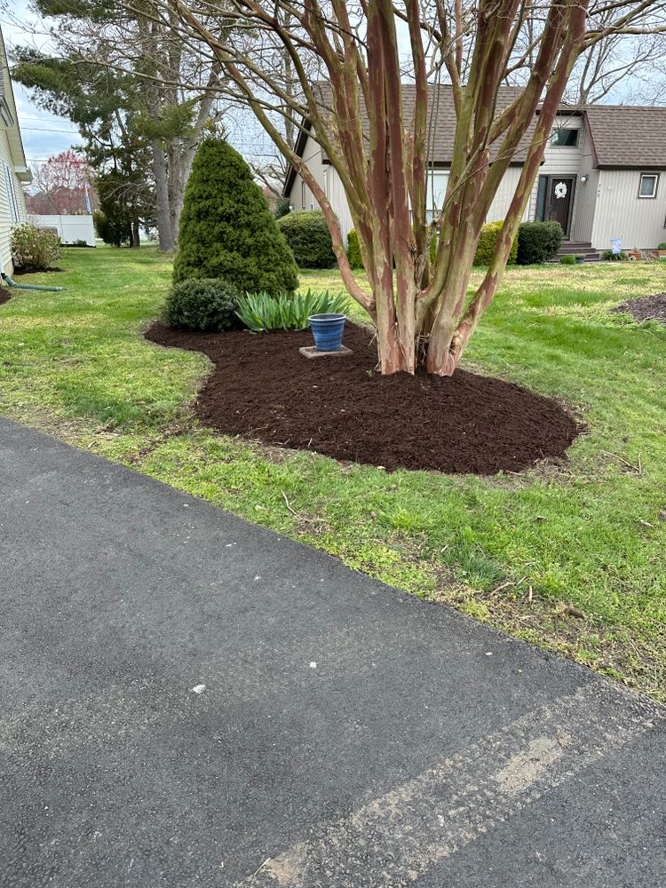 Landscaping for Indian River Lawns and Landscapes in Frankford, DE