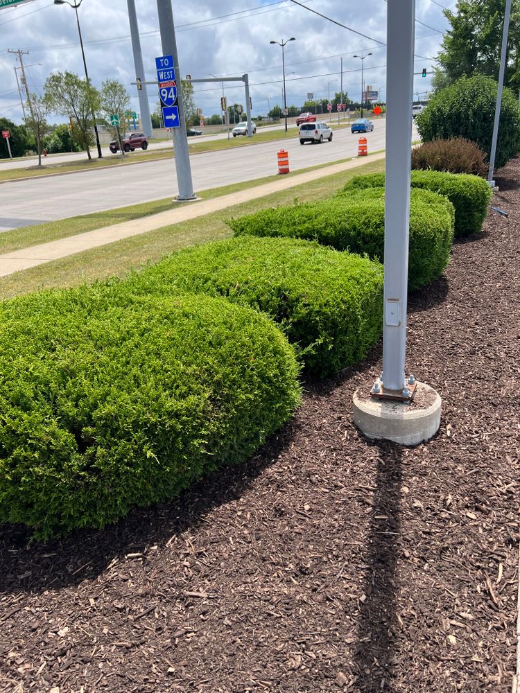 Landscaping for Trim Seasonal Services in Milwaukee, WI