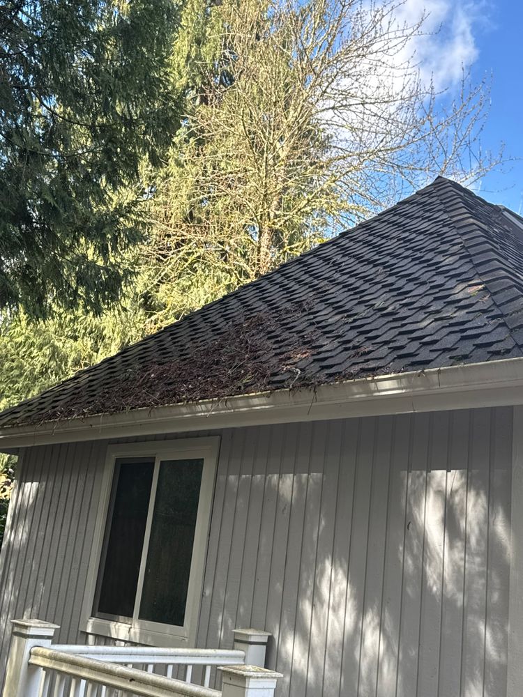 All Photos for Tony's Remodeling & Painting in Renton, WA