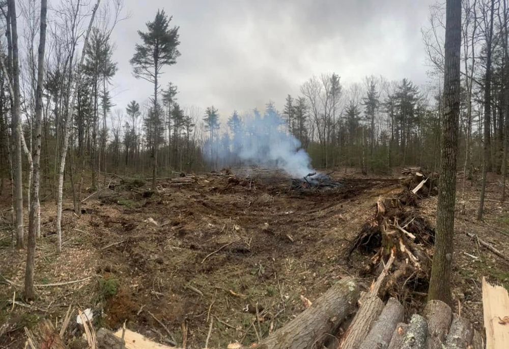 Our Debris Removal service ensures a clean, safe site by efficiently clearing unwanted materials after excavation, providing homeowners with a hassle-free experience and leaving their property pristine and ready for the next phase. for Bradleyworx in Troy, NH