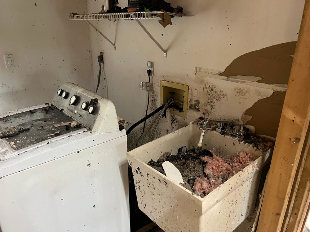 All Photos for N&D Restoration Services: When Disaster Strikes, We Come In in Cape Coral,  FL