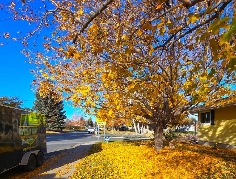 All Photos for Eagle Bay Lawn & Landscape LLC in Helena, MT