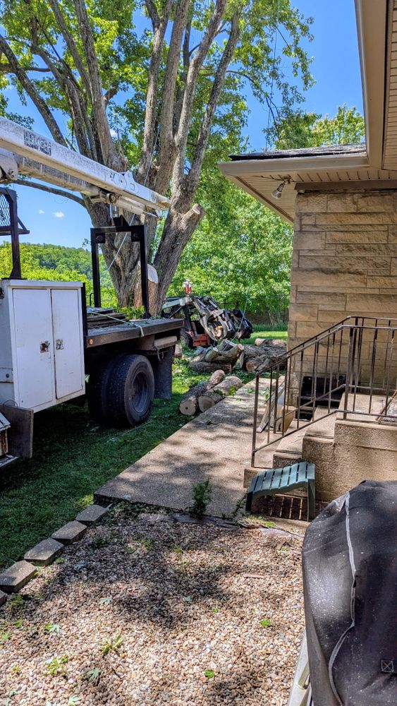 All Photos for Lightning Tree Service in Corydon, IN