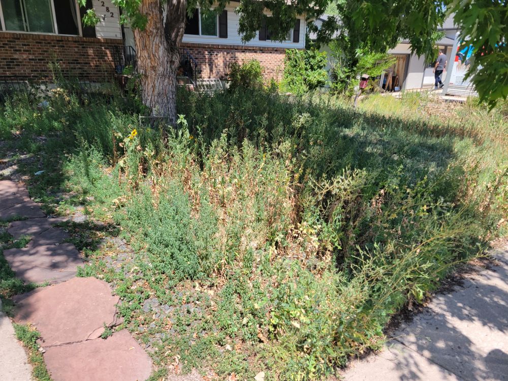 All Photos for JS Landscaping Colorado in Denver, CO