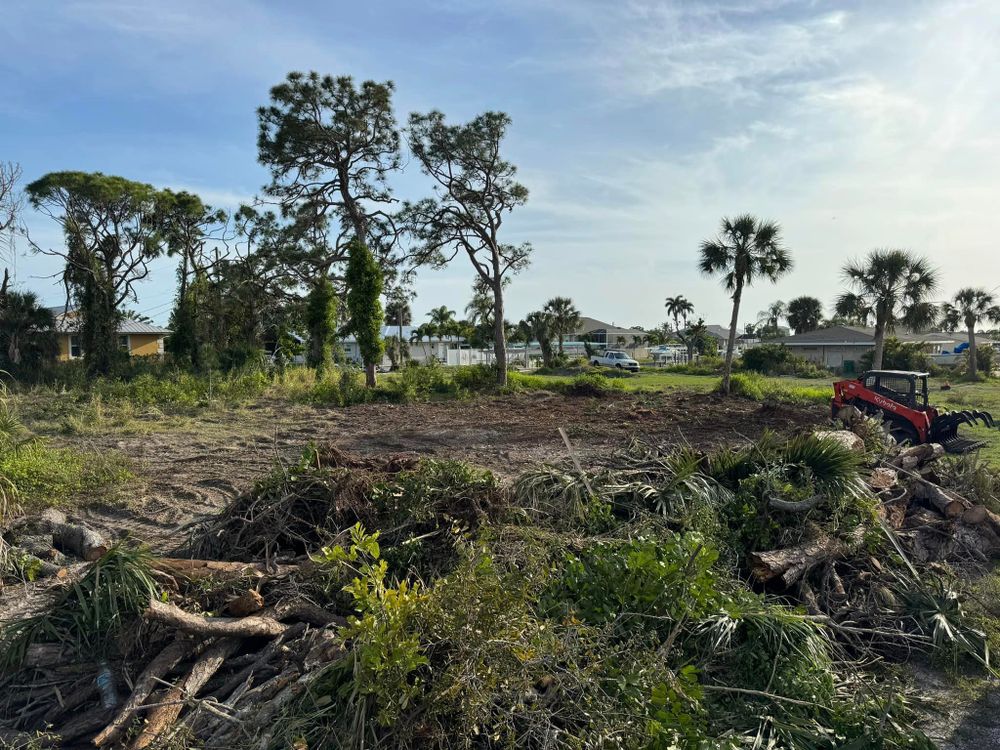 Tree Removal for Lemon Bay Tree Service  in Englewood, FL