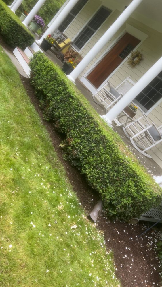 Land Grading for G&M Property Service in Attleboro, MA