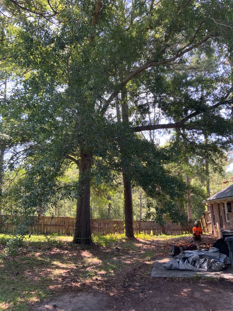 All Photos for Broadway & McMullen Construction in Hattiesburg, MS