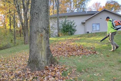 Fall Cleanup for Conoy Acres Lawn Service in Elizabethtown, PA